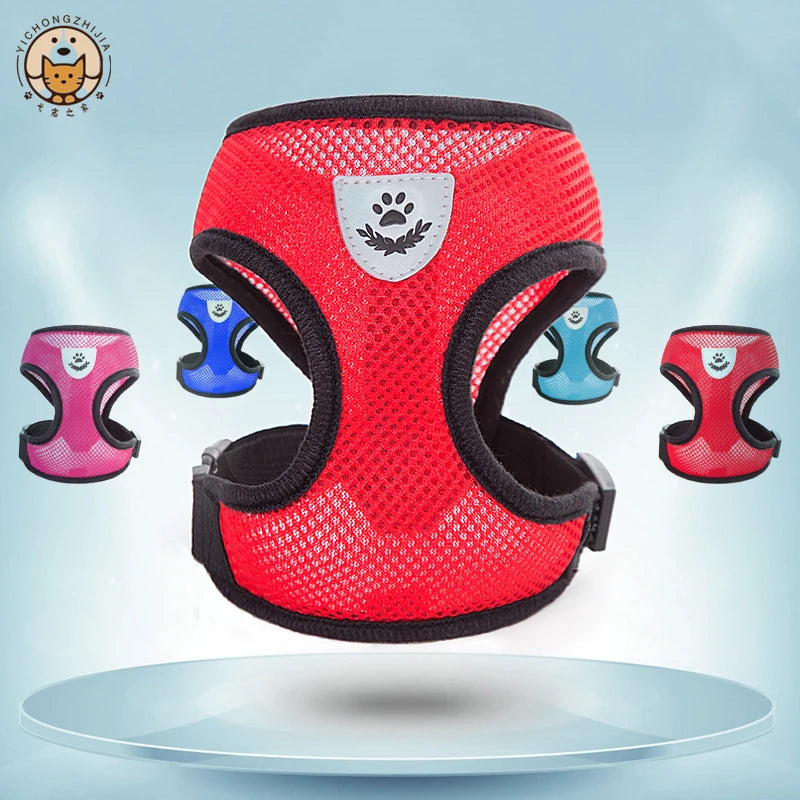 Pet chest strap cat leash dog chest strap dog walking leash small dog solid vest type cat leash prevent loss