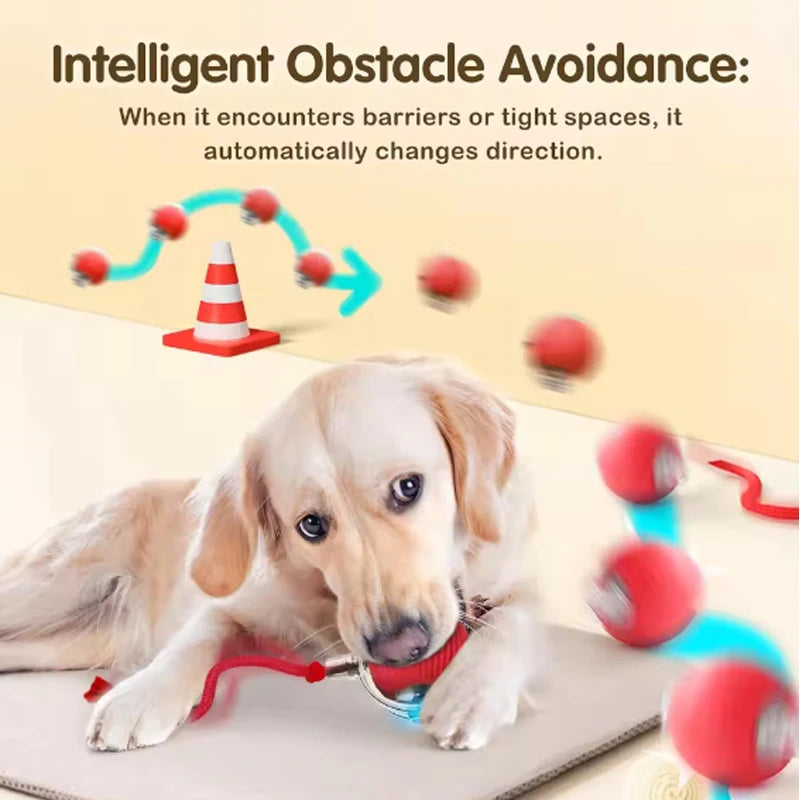 Cat toys cat smart cat balls to help relieve boredom kitten avoid toys pet electric rolling ball artifact